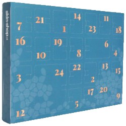 Skin-shop Adventskalender 2024